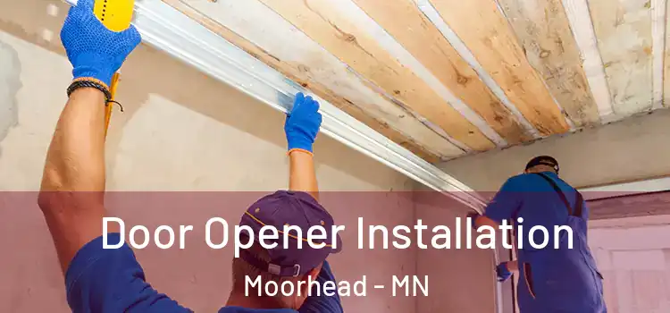 Door Opener Installation Moorhead - MN